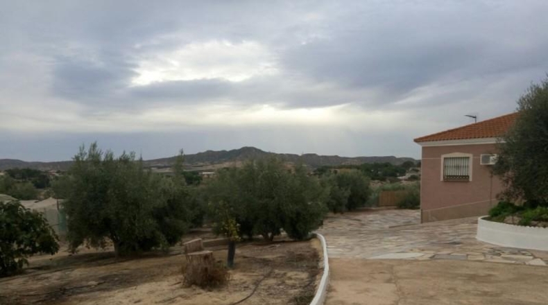 Murcia - Murcia - 5000m2