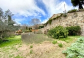 Non-developable land for sale on España, Alella, ref: TR384156 photo