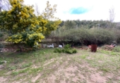 Non-developable land for sale on España, Alella, ref: TR384156 photo