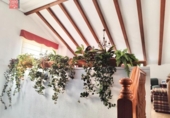 Chalet independiente con terreno en venta en la España, Torre-Pacheco, ref: TR244307 foto