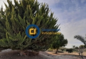 Chalet independiente con terreno en venta en la España, Lorca, ref: TR151950 foto