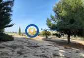 Chalet independiente con terreno en venta en la España, Lorca, ref: TR151950 foto