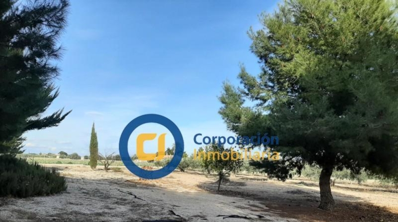 Murcia - Lorca - 5400m2