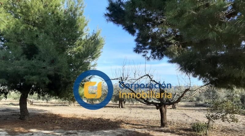 Murcia - Lorca - 5400m2