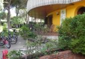 Casa de camp amb terreny en venda a la España, Tordesillas, ref.: TR164654 foto