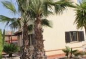 Chalet independiente con terreno en venta en la España, Fuente Álamo, ref: TR239759 foto