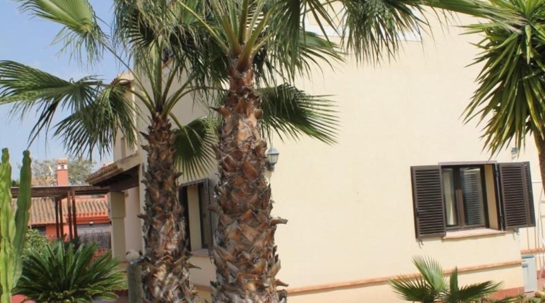 Murcia - Fuente Álamo de Murcia - 703m2