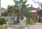 Chalet independiente con terreno en venta en la España, Fuente Álamo, ref: TR239759 foto