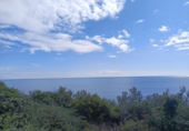 Отдельно стоящий дом с участком на продажу в городе l'Ametlla de Mar Фото
