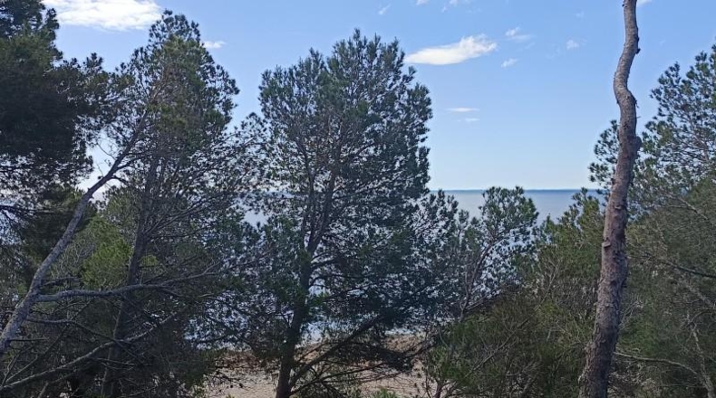 Tarragona - l'Ametlla de Mar - 843m2