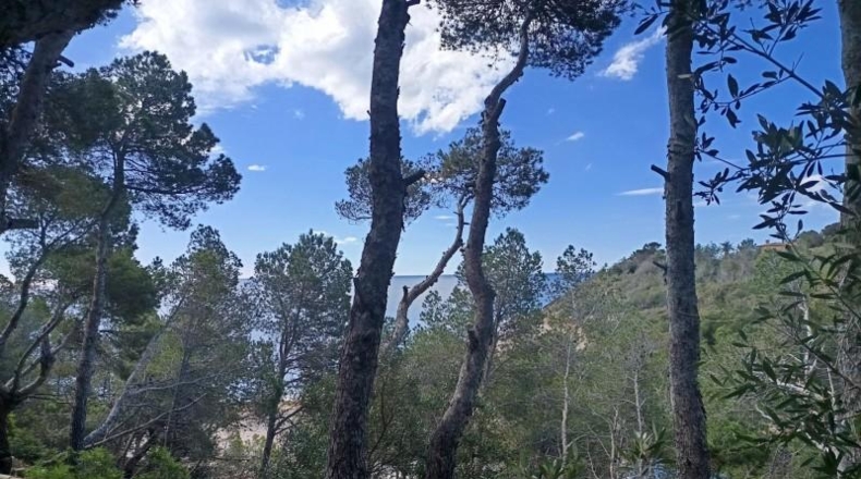 Tarragona - l'Ametlla de Mar - 843m2