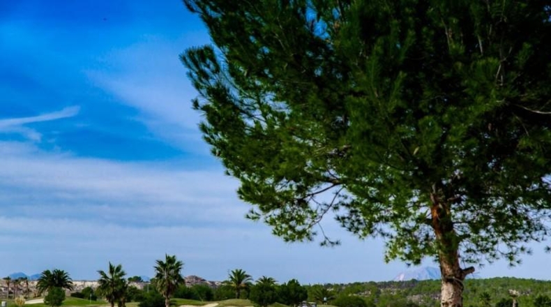 Alicante - Orihuela - 230m2