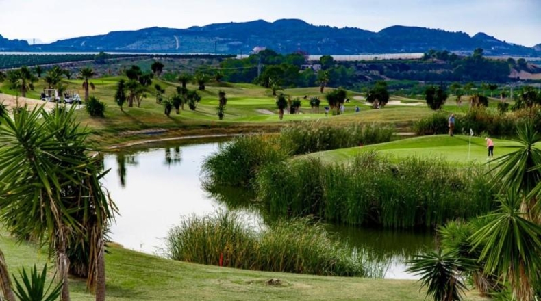 Alicante - Orihuela - 230m2