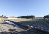 Земельный участок на продажу в городе Fuente Vaqueros Фото