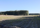 Земельный участок на продажу в городе Fuente Vaqueros Фото