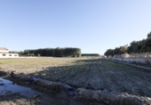 Земельный участок на продажу в городе Fuente Vaqueros Фото