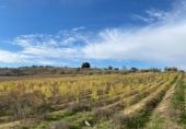 Земля на продажу у города Moraleda de Zafayona Фото