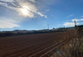 Земля на продажу у города Moraleda de Zafayona Фото