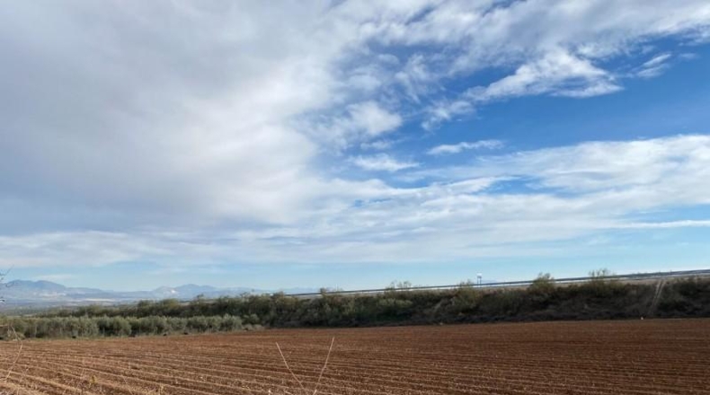 Granada - Moraleda de Zafayona - 80000m2