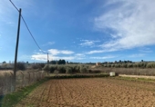 Земля на продажу у города Moraleda de Zafayona Фото