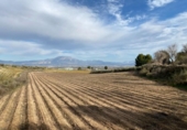 Земля на продажу у города Moraleda de Zafayona Фото