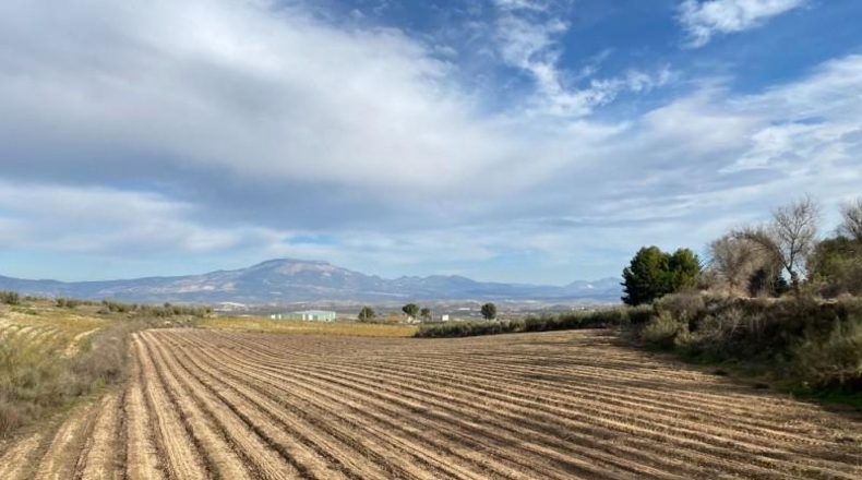 Granada - Moraleda de Zafayona - 80000m2