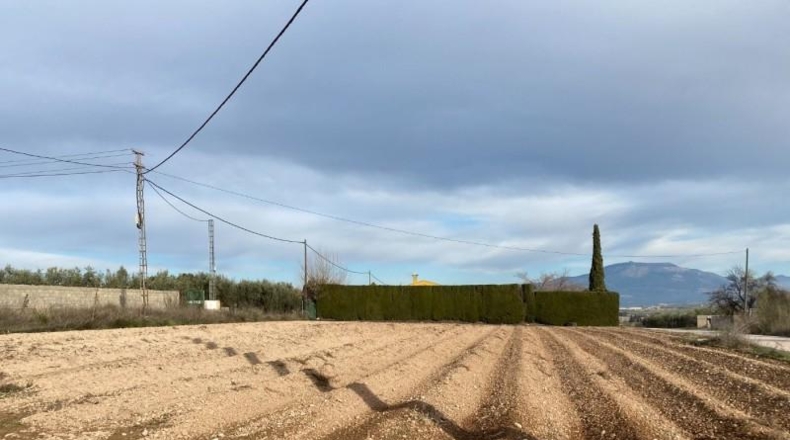 Granada - Moraleda de Zafayona - 80000m2