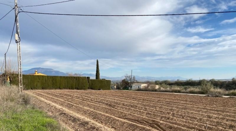 Granada - Moraleda de Zafayona - 80000m2