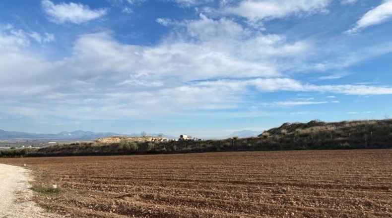 Granada - Moraleda de Zafayona - 80000m2