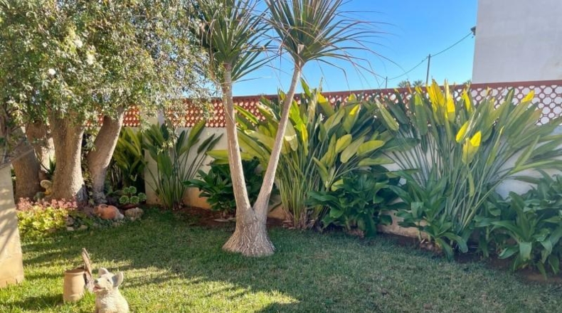Castellón - Benicarló - 1026m2