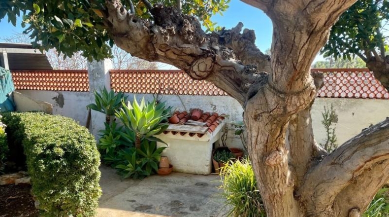 Castellón - Benicarló - 1026m2