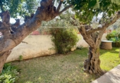 Xalet independent amb terreny en venda a la España, Benicarló, ref.: TR157487 foto