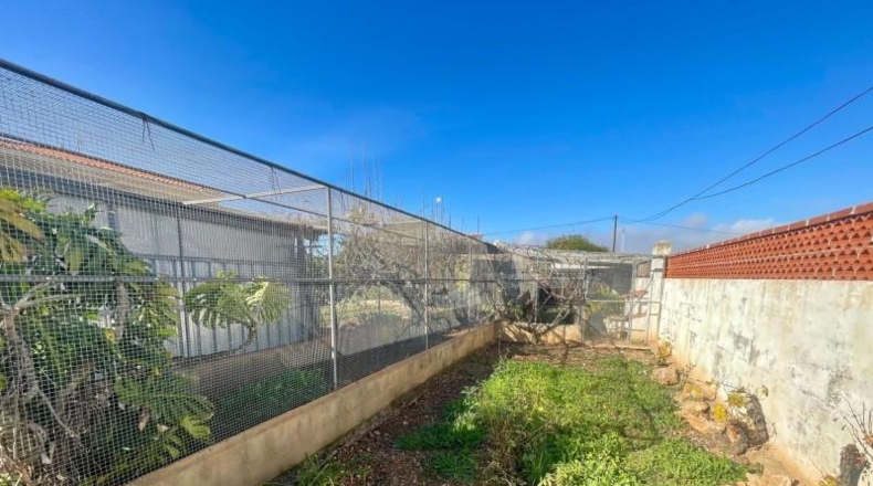 Castellón - Benicarló - 1026m2