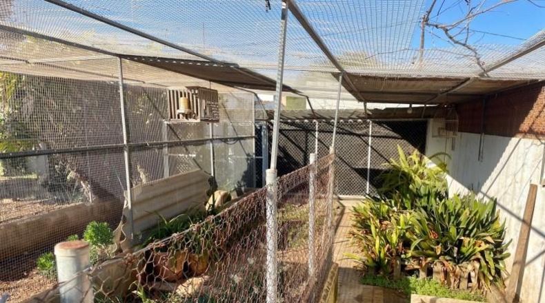 Castellón - Benicarló - 1026m2
