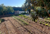 Xalet independent amb terreny en venda a la España, Benicarló, ref.: TR157487 foto