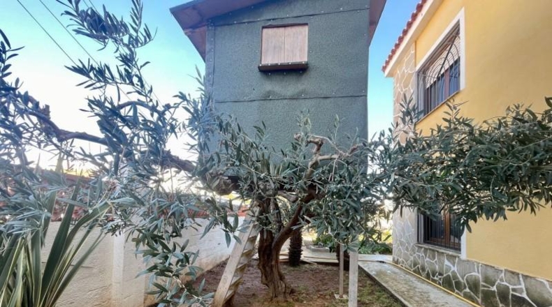 Castellón - Benicarló - 1026m2