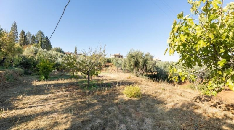 Granada - Dílar - 320m2