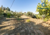 Xalet independent amb terreny en venda a la España, Dílar, ref.: TR351475 foto