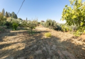 Xalet independent amb terreny en venda a la España, Dílar, ref.: TR357276 foto