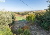 Chalet independiente con terreno en venta en la España, Dílar, ref: TR351034 foto
