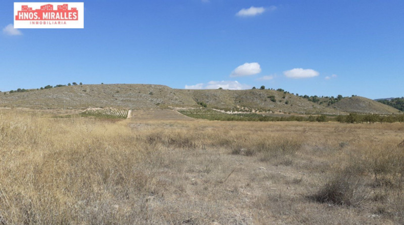 Múrcia - Abanilla - 123000m2