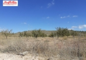 Non-developable land for sale on España, Abanilla, ref: TR113124 photo