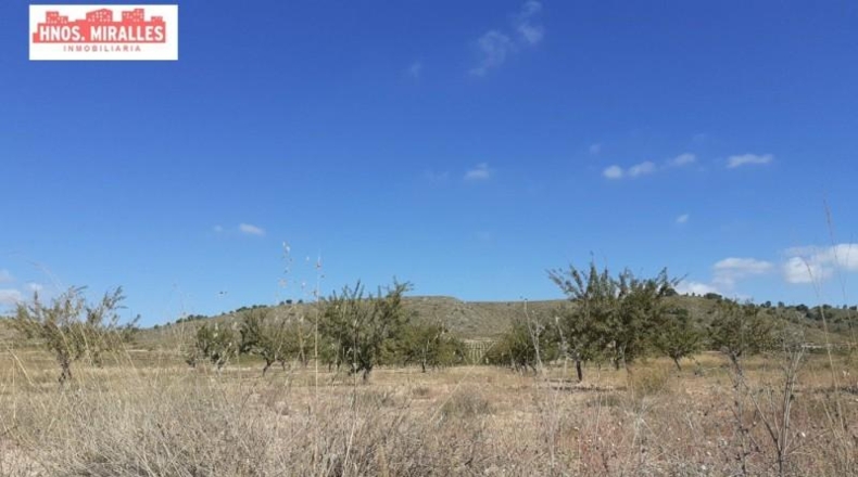 Múrcia - Abanilla - 123000m2
