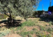 Xalet independent amb terreny en venda a la España, la Pobla de Vallbona, ref.: TR289187 foto