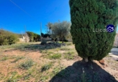 Xalet independent amb terreny en venda a la España, la Pobla de Vallbona, ref.: TR289187 foto