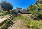 Xalet independent amb terreny en venda a la España, la Pobla de Vallbona, ref.: TR289187 foto