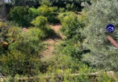 Xalet independent amb terreny en venda a la España, la Pobla de Vallbona, ref.: TR289187 foto