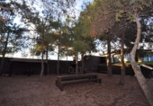 Chalet independiente con terreno en venta en la España, Monóvar, ref: TR333330 foto