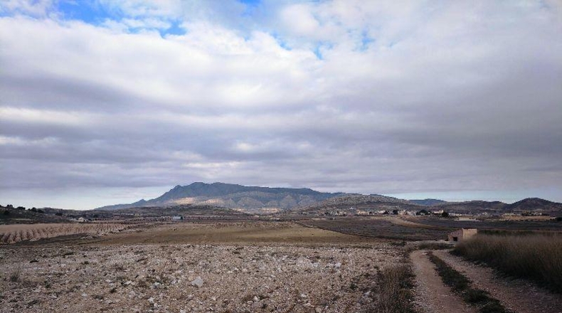 Múrcia - Jumilla - 160000m2
