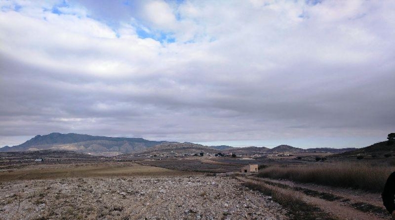 Múrcia - Jumilla - 160000m2